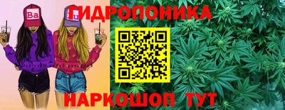 гидропоника Обь